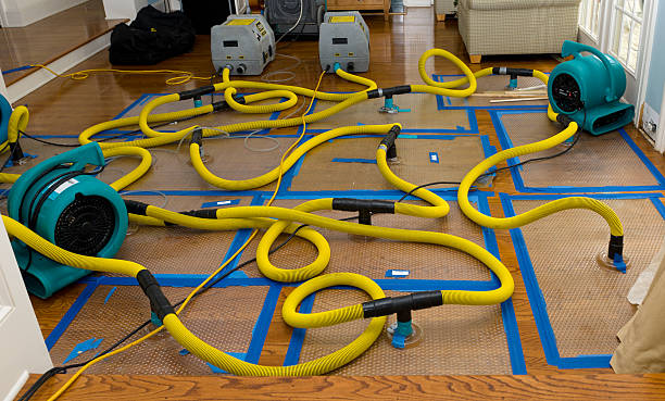 Professional Sewage Cleanup technician working in Burnsville, MN